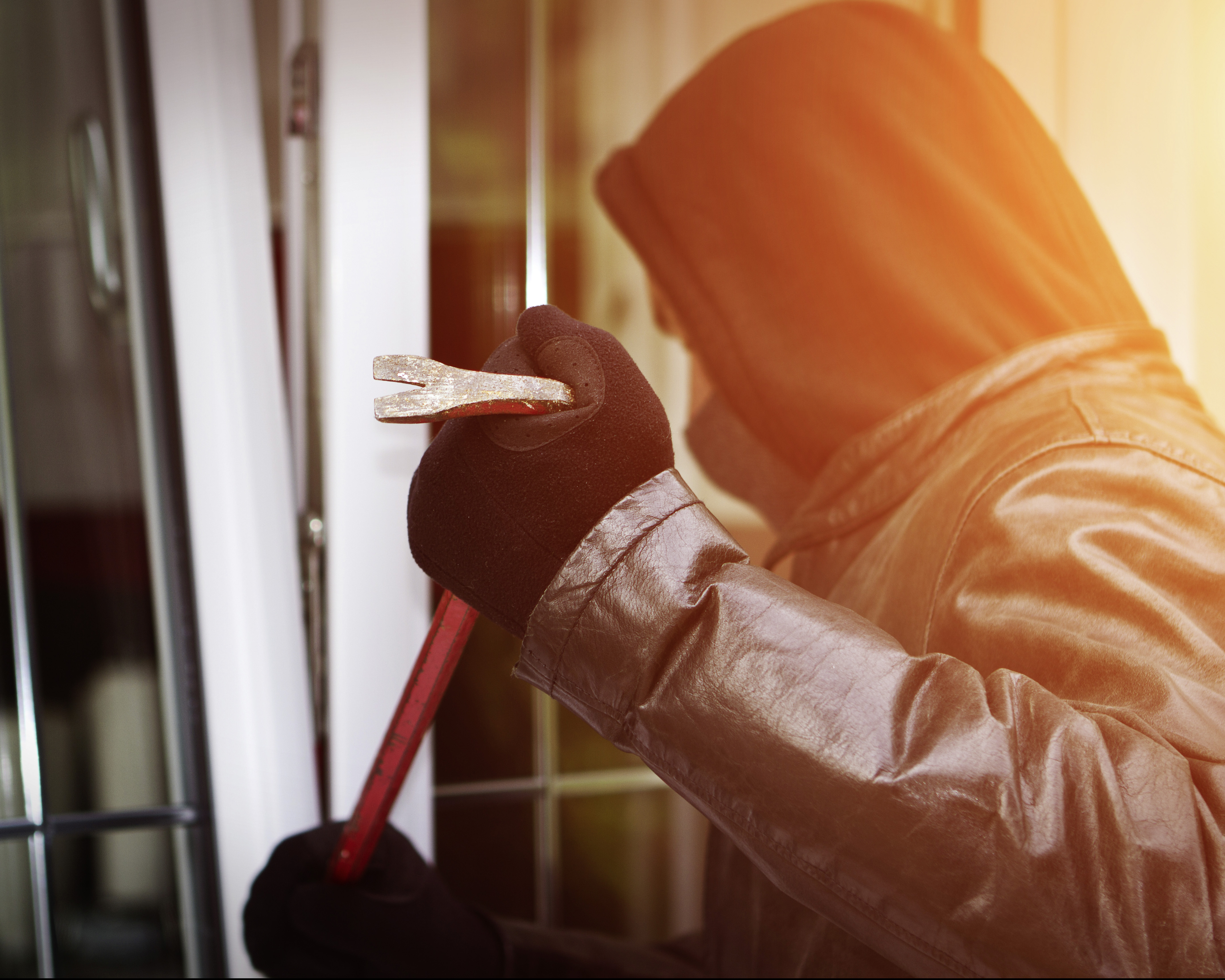 AdobeStock_101348254 500px