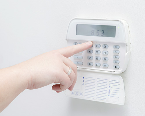 AdobeStock_101348254 500px