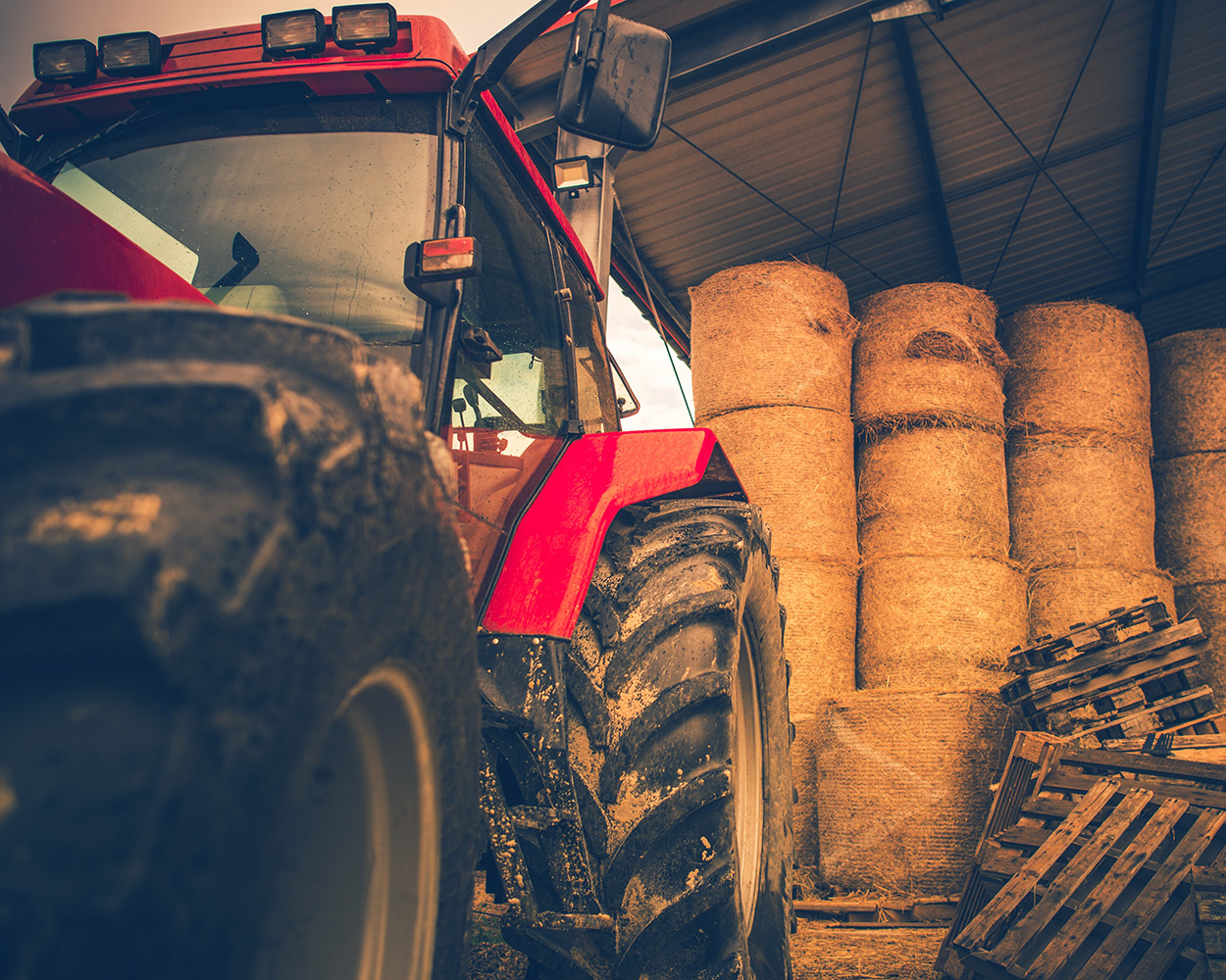 AdobeStock_294500721 500px