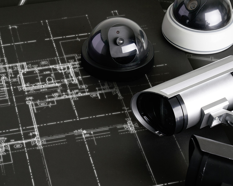 AdobeStock_355951382_Preview recadre