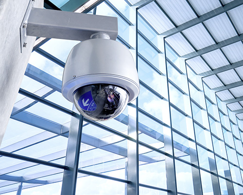 AdobeStock_186535491 500px